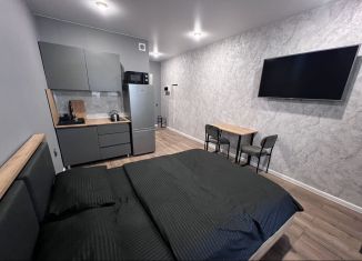 Сдается квартира студия, 22 м2, Ростов-на-Дону, Горсоветская улица