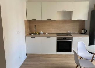 Сдача в аренду квартиры студии, 28 м2, Люберцы, Некрасовский проезд, 8, ЖК Люберцы 2018