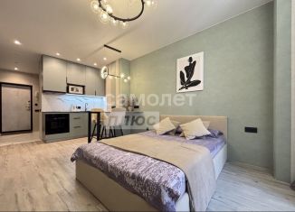 Аренда квартиры студии, 30 м2, Ростов-на-Дону, Красноармейская улица, 157В/83