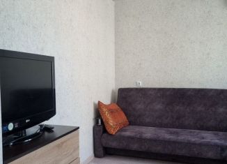 Сдача в аренду квартиры студии, 30 м2, Ростов-на-Дону, переулок Белоусова, 20