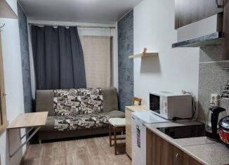 Сдам в аренду квартиру студию, 18 м2, Санкт-Петербург, Гороховая улица, 51