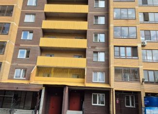 Сдам в аренду квартиру студию, 26 м2, Санкт-Петербург, проспект Кузнецова, 14к2, ЖК Два капитана