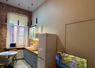 Аренда квартиры студии, 26 м2, Санкт-Петербург, проспект Римского-Корсакова, 107