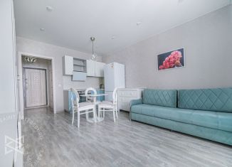 Квартира на продажу студия, 23 м2, Мурино, Петровский бульвар, 14к5, ЖК Краски Лета