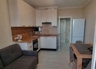 Сдаю в аренду двухкомнатную квартиру, 58 м2, Тульская область, Новомосковская улица, 10Б