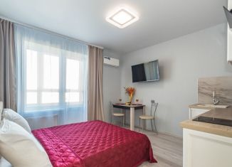 Сдаю в аренду квартиру студию, 25 м2, Ростов-на-Дону, Ворошиловский проспект, 82/4