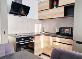 Сдается в аренду 1-комнатная квартира, 30.1 м2, Благовещенск, Зейская улица, 135