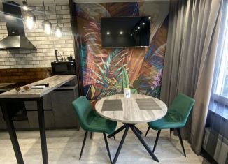 Сдам в аренду квартиру студию, 30 м2, Тюмень, улица Николая Ростовцева, 24