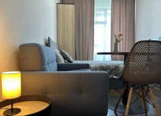 Аренда квартиры студии, 25.3 м2, Санкт-Петербург, улица Александра Матросова, 3, метро Петроградская