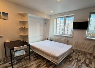 Сдаю в аренду квартиру студию, 30 м2, Санкт-Петербург, Киевская улица, 5к7, Московский район