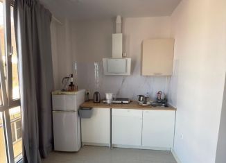 Сдаю в аренду квартиру студию, 30 м2, Сочи, Изумрудная улица, 40/3