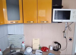 Сдам в аренду 1-ком. квартиру, 29 м2, Екатеринбург, улица Пионеров, 12к2