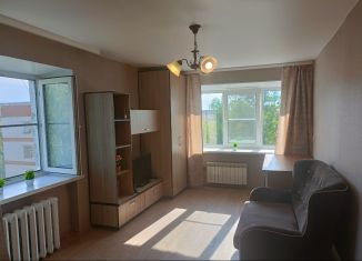 Аренда однокомнатной квартиры, 30 м2, Нижегородская область, проспект Циолковского, 17