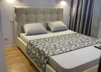 Сдам однокомнатную квартиру, 65 м2, Челябинская область, улица Братьев Кашириных, 12