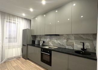 Аренда 1-комнатной квартиры, 38.1 м2, Казань, улица Габдуллы Кариева, 4