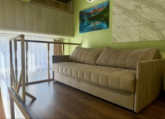 Аренда однокомнатной квартиры, 34 м2, село Орёл-Изумруд, Петрозаводская улица, 8