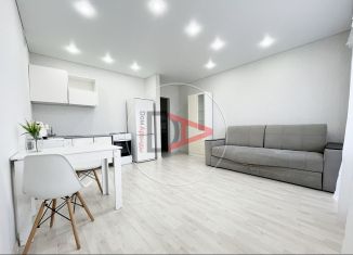 Сдается в аренду квартира студия, 30 м2, Республика Башкортостан, улица Асхата Мирзагитова, 8