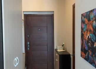 Сдается в аренду квартира студия, 19 м2, Новосибирская область, улица Виктора Уса, 11