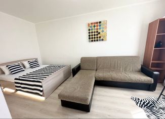 Сдам в аренду квартиру студию, 28 м2, Татарстан, улица Александра Курынова, 6к2