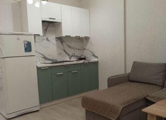 Квартира в аренду студия, 30 м2, Ростов-на-Дону, Заводская улица, 35