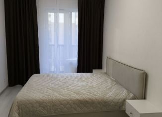 Сдам двухкомнатную квартиру, 60 м2, Санкт-Петербург, проспект Авиаконструкторов, 67к1