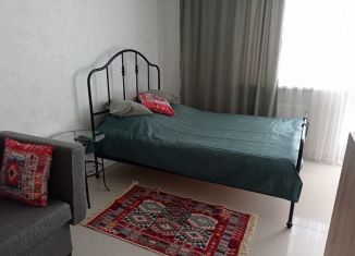 Сдача в аренду квартиры студии, 30 м2, Владимирская область, улица Мира, 4