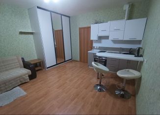 Сдам в аренду квартиру студию, 27.7 м2, Мурино, улица Шоссе в Лаврики