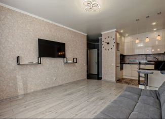 Аренда 1-комнатной квартиры, 40 м2, Ростов-на-Дону, улица Шаповалова, 1Ес1