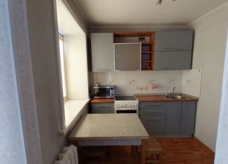 Сдам 1-ком. квартиру, 29 м2, Новосибирская область, улица Дуси Ковальчук, 179