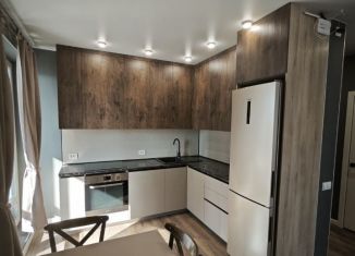 Сдача в аренду 1-комнатной квартиры, 52 м2, Новосибирская область, Красный проспект, 220/7