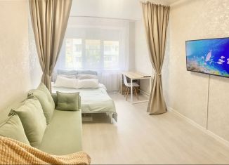 Сдается в аренду 1-комнатная квартира, 31 м2, Сочи, улица Пирогова, 26