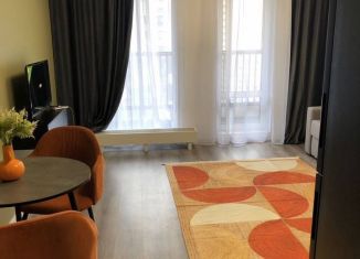 Сдаю в аренду квартиру студию, 26 м2, Санкт-Петербург, метро Улица Дыбенко, Дальневосточный проспект, 23