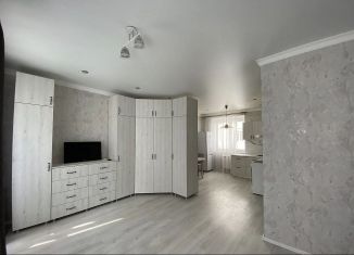 Сдается 1-ком. квартира, 37 м2, Ростов-на-Дону, улица 339-й Стрелковой Дивизии, 21/4