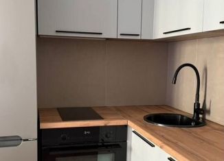 Сдаю в аренду 1-ком. квартиру, 40 м2, Новосибирск, Ипподромская улица, 12, метро Речной вокзал