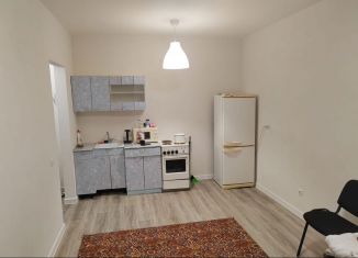 Сдам квартиру студию, 29 м2, Новосибирская область, Игарская улица, 5