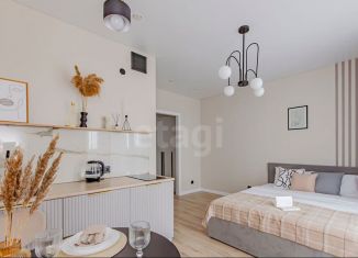 Сдам квартиру студию, 30 м2, Татарстан, улица Аделя Кутуя, 100