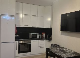 Сдам квартиру студию, 34 м2, Сочи, Виноградная улица, 4