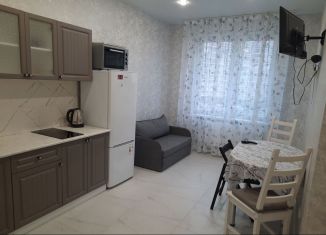 Сдается 1-комнатная квартира, 47 м2, Краснодар, улица Западный Обход, 57к1