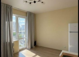 Сдам квартиру студию, 26 м2, Новосибирская область, 3-й микрорайон, 22