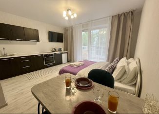 Квартира в аренду студия, 26 м2, Челябинская область, улица Маршала Чуйкова, 26