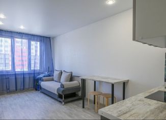 Сдаю в аренду квартиру студию, 22.2 м2, Мурино, улица Шоссе в Лаврики, 95