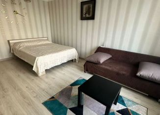 1-комнатная квартира в аренду, 31 м2, Махачкала, улица Магомета Гаджиева, 194