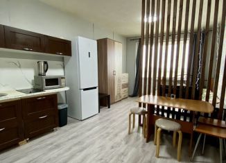 Сдается квартира студия, 28.4 м2, Екатеринбург, Самолётная улица, 33