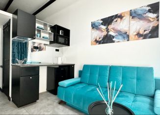 Квартира в аренду студия, 24 м2, Санкт-Петербург, Херсонская улица, 3, муниципальный округ Смольнинское