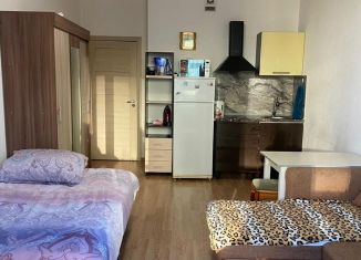 Сдаю квартиру студию, 25.7 м2, Мурино, Воронцовский бульвар, 2, ЖК Гринландия