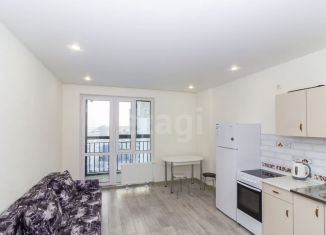 Сдам квартиру студию, 25.9 м2, Тюмень, Интернациональная улица, 197Г