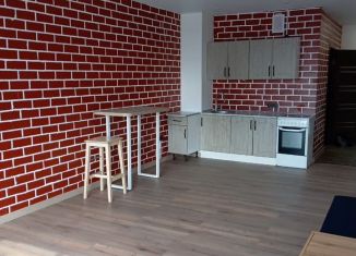 Сдается квартира студия, 32.4 м2, Челябинская область, улица Энгельса, 4