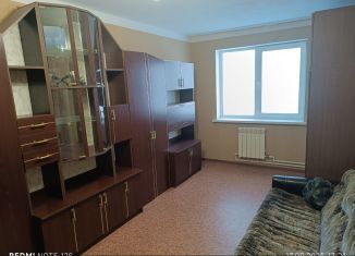 Сдам в аренду 1-ком. квартиру, 35 м2, Губкин, улица Петра Великого, 20