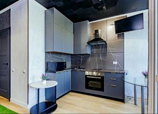 Сдам квартиру студию, 25 м2, Татарстан, улица Ярдем, 25