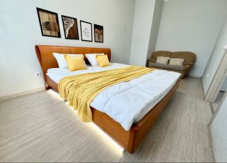 Сдам в аренду 1-ком. квартиру, 46 м2, Екатеринбург, улица Чайковского, 66А